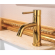 DESIGN MLRGOLD-1_1